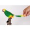 Hovoriaci papagáj  2v1