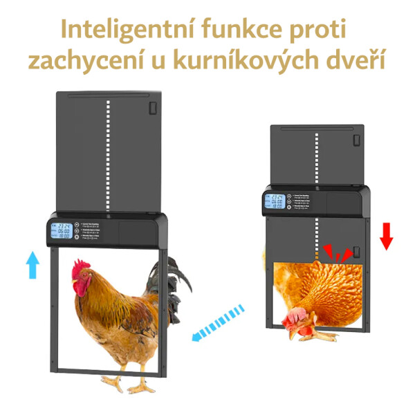 dvirka_ke_kurniku_popis1_1.jpg