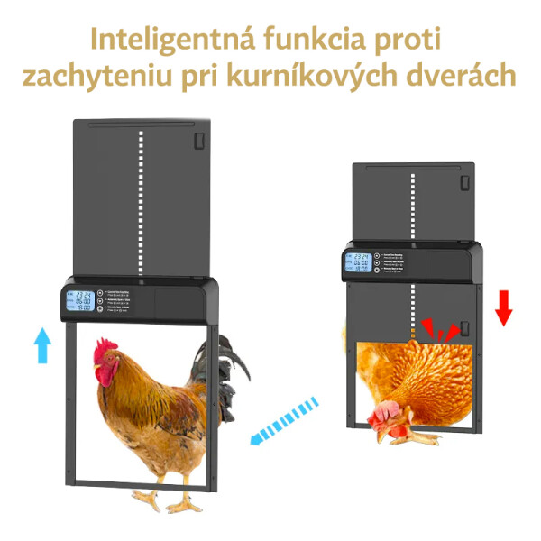 dvirka_ke_kurniku_popis1_SK.jpg