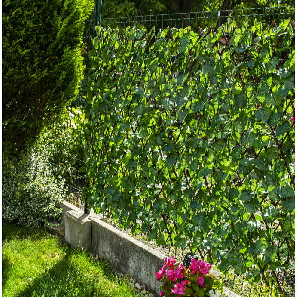 Garden King Umelý živý plot HEDERA FLEXI 200 x 100 cm